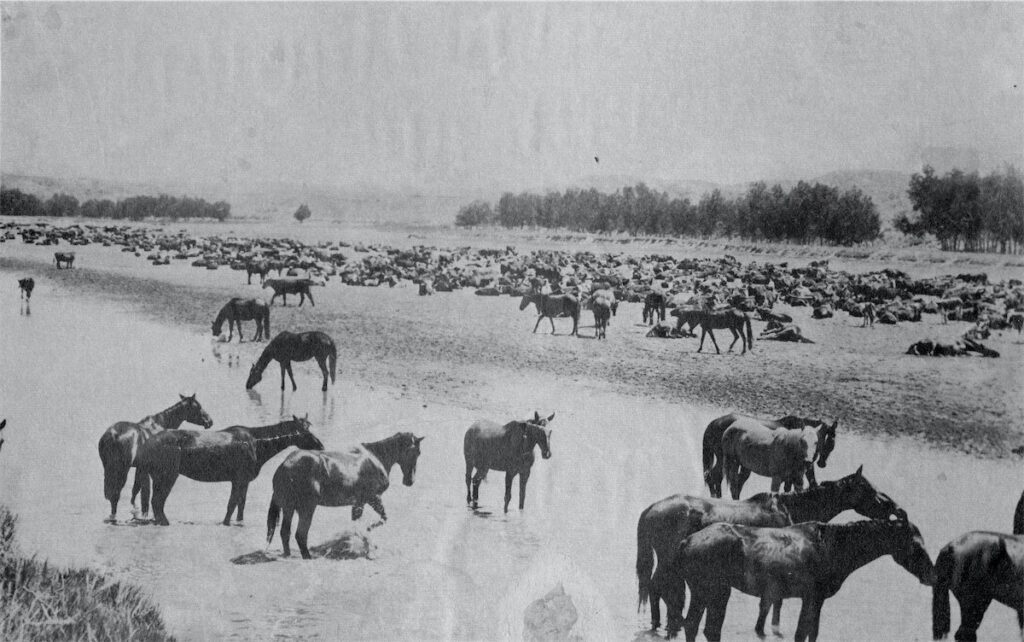 Virtual Tour - Ranching Heritage Association