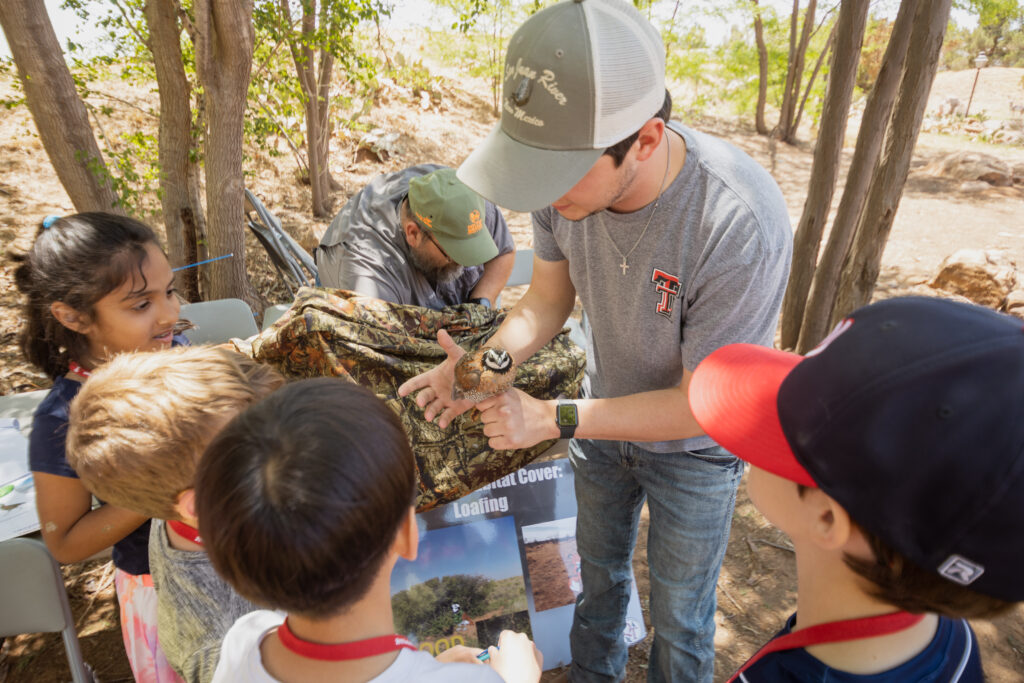 Texas Tech University Quail-Tech student holds a male Northern Bobwhite Quail for children to view during Quailapalooza.