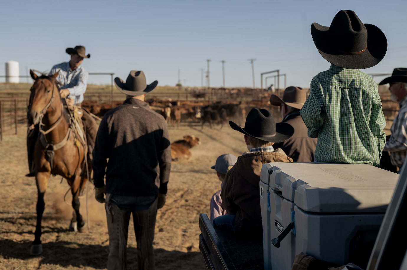 Texan Ranch People From Ranch to Table: How One West Texas Family is Bringing Consumers ...