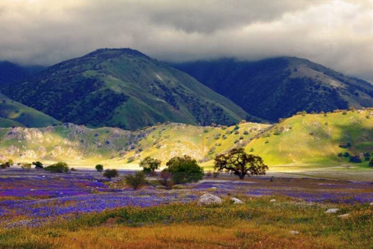 Tejon Ranch | Predating the State of California - Ranching Heritage ...