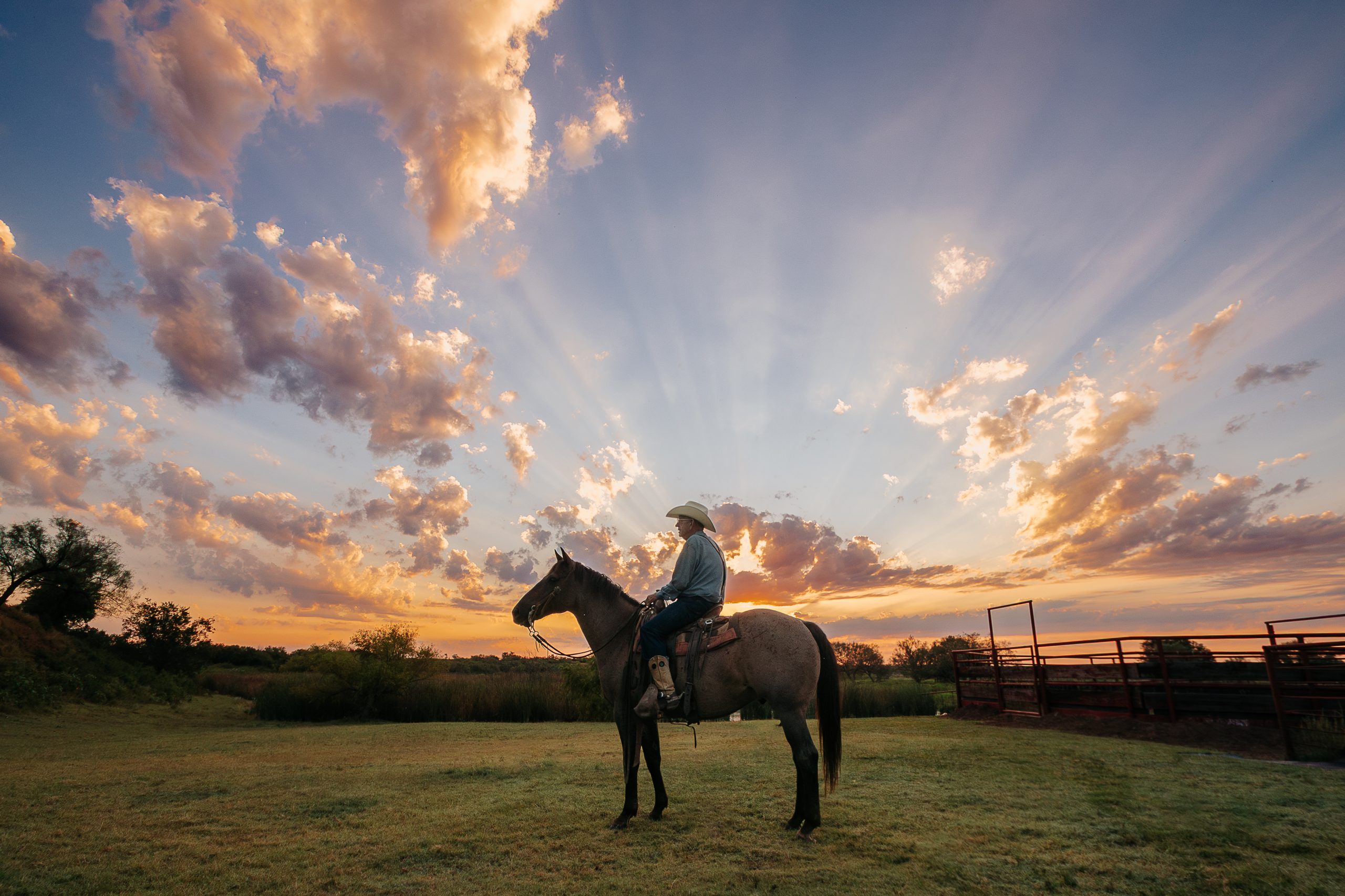 The Legacy of a Top Hand: Tom Moorhouse RHA Working Cowboy Award-East