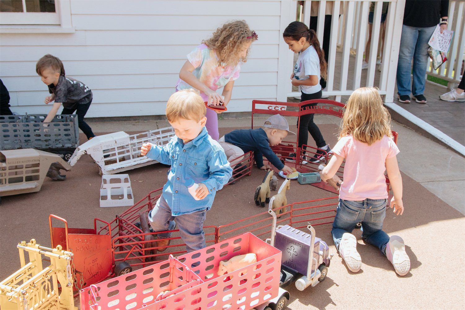 Toddler Tuesday Photo