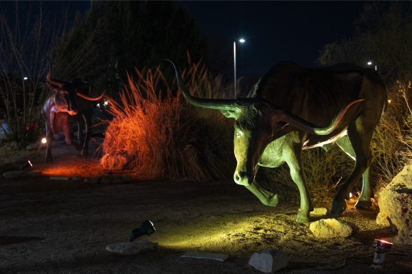 Longhorn sculptures lit up with green and red lights.