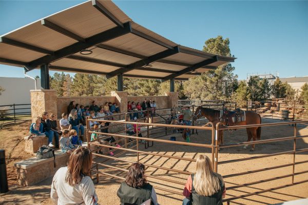 Amphitheater alt=""