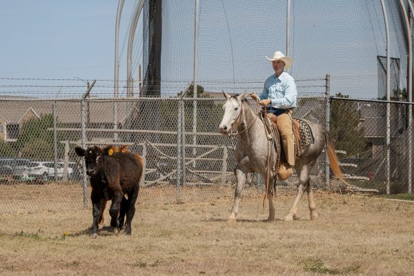 AH-RanchDay-6452