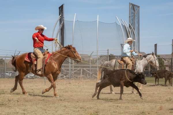 AH-RanchDay-6465