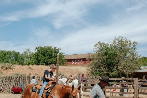 AH-RanchDay-6780
