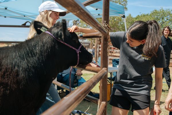 AH-RanchDay-6798