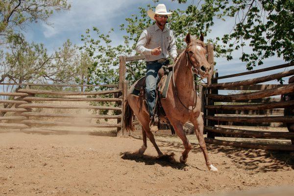 AH-RanchDay-6817