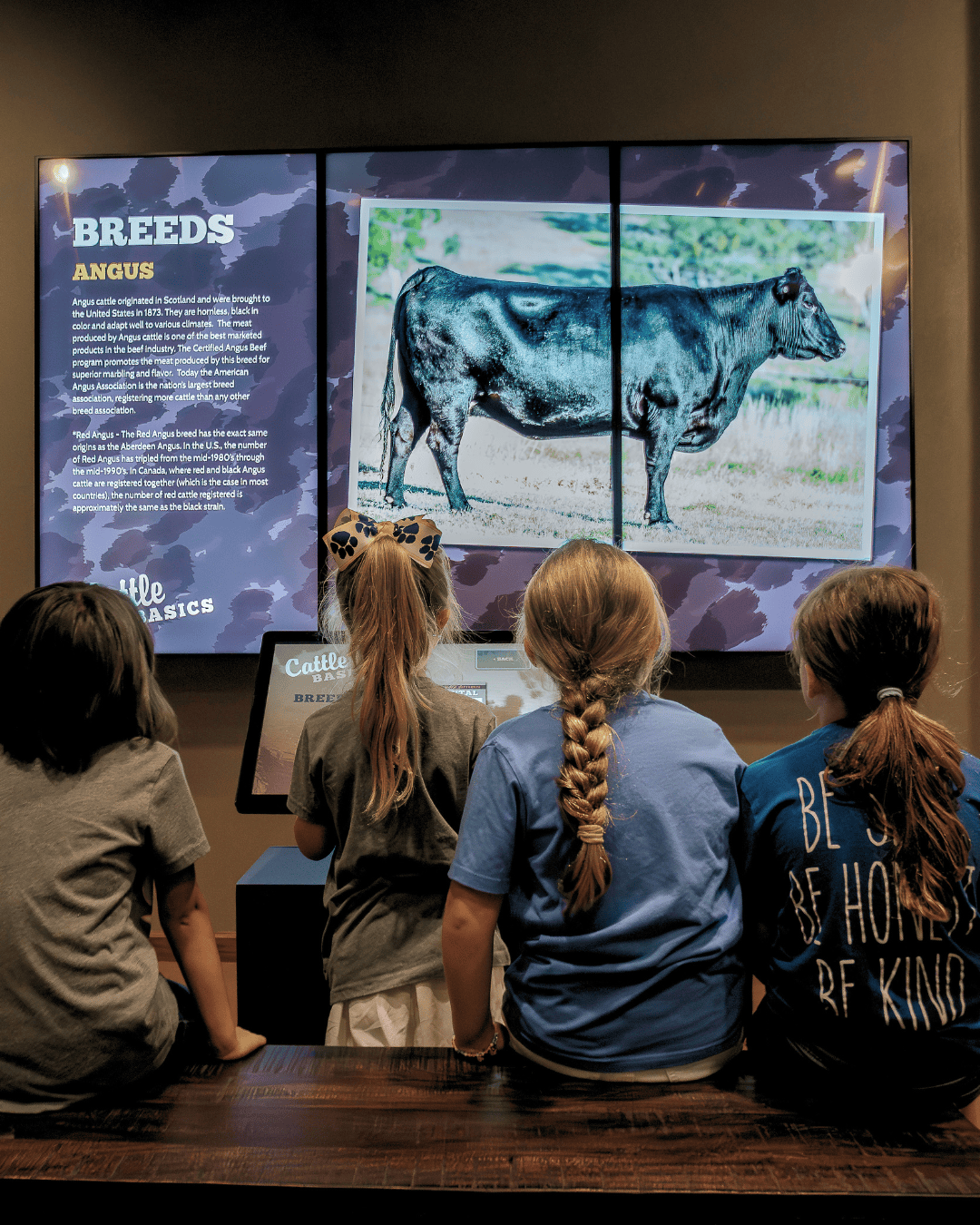 Children learning about cattle breeds in the Ranch Life Learning Center.