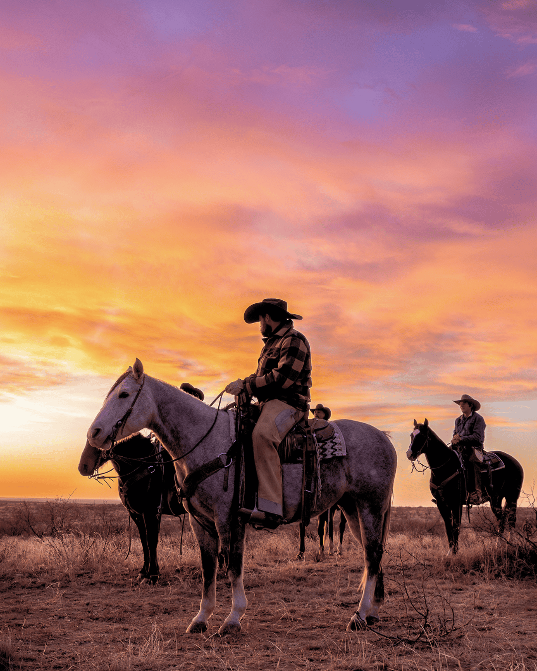 Cowboys sitting horseback at sunrise.