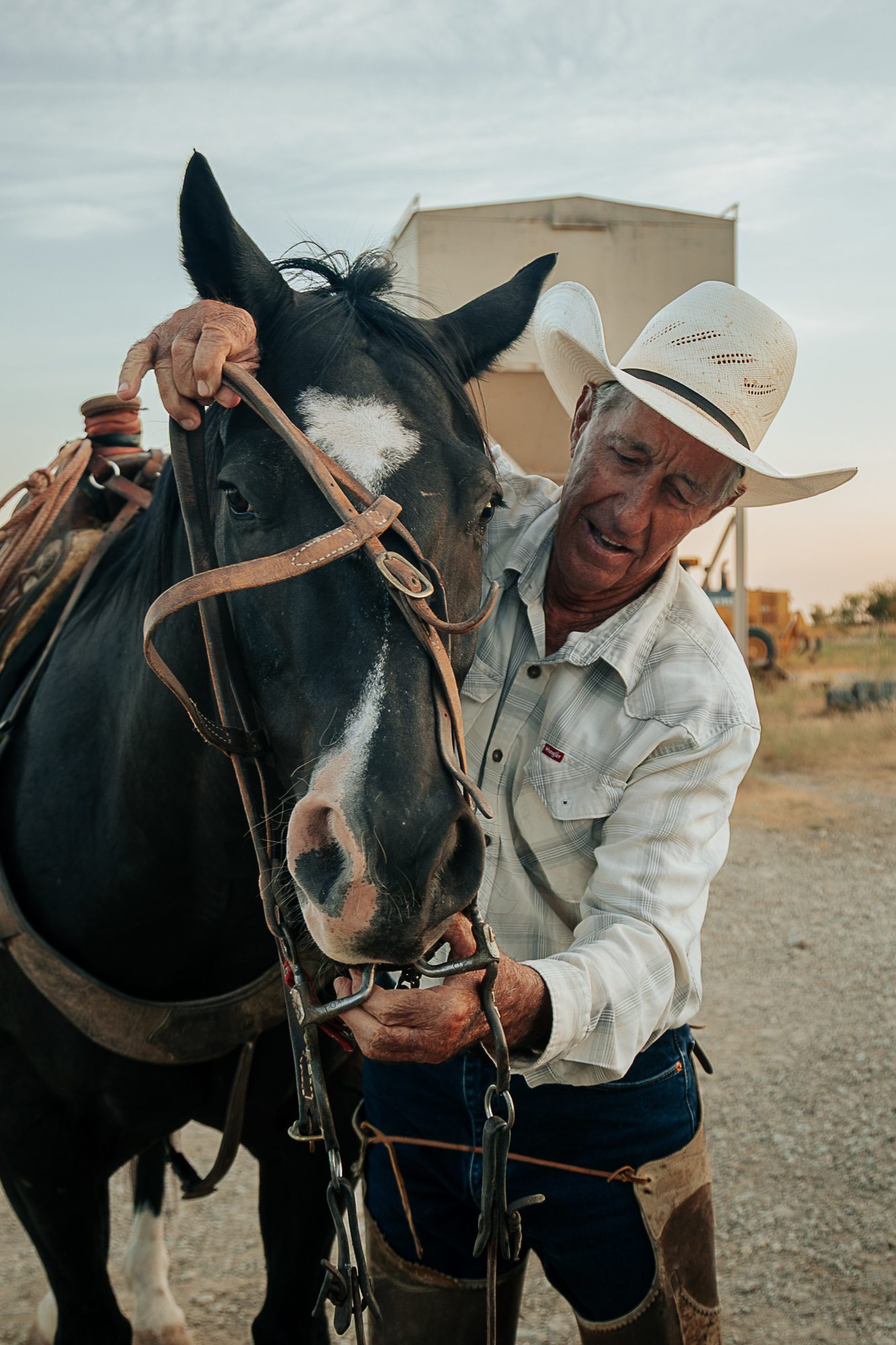 A cowboy in a white hat adjusts the bridle on a black horse with a white blaze on its face at a ranch.