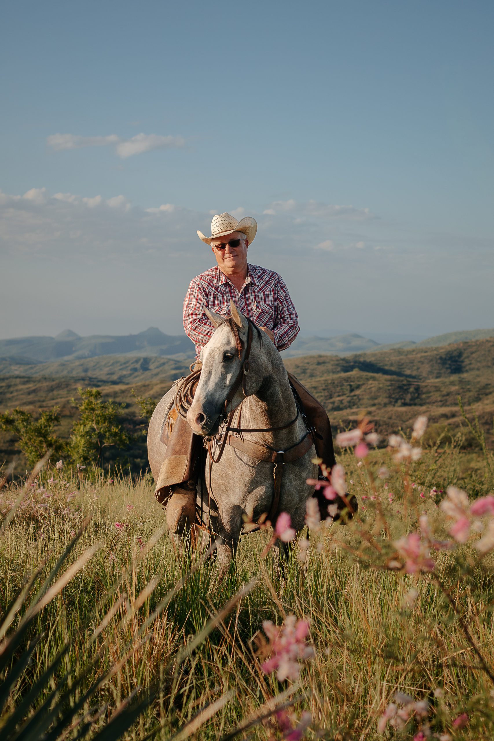 Cowboy in a straw hat, sunglasses and plaid shirt rides a gray horse through tall grass and wildflowers with rolling hills in the background.