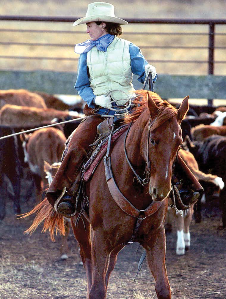 A cowgirl in a white cowboy hat rides a chestnut horse among cattle in a ranch setting.