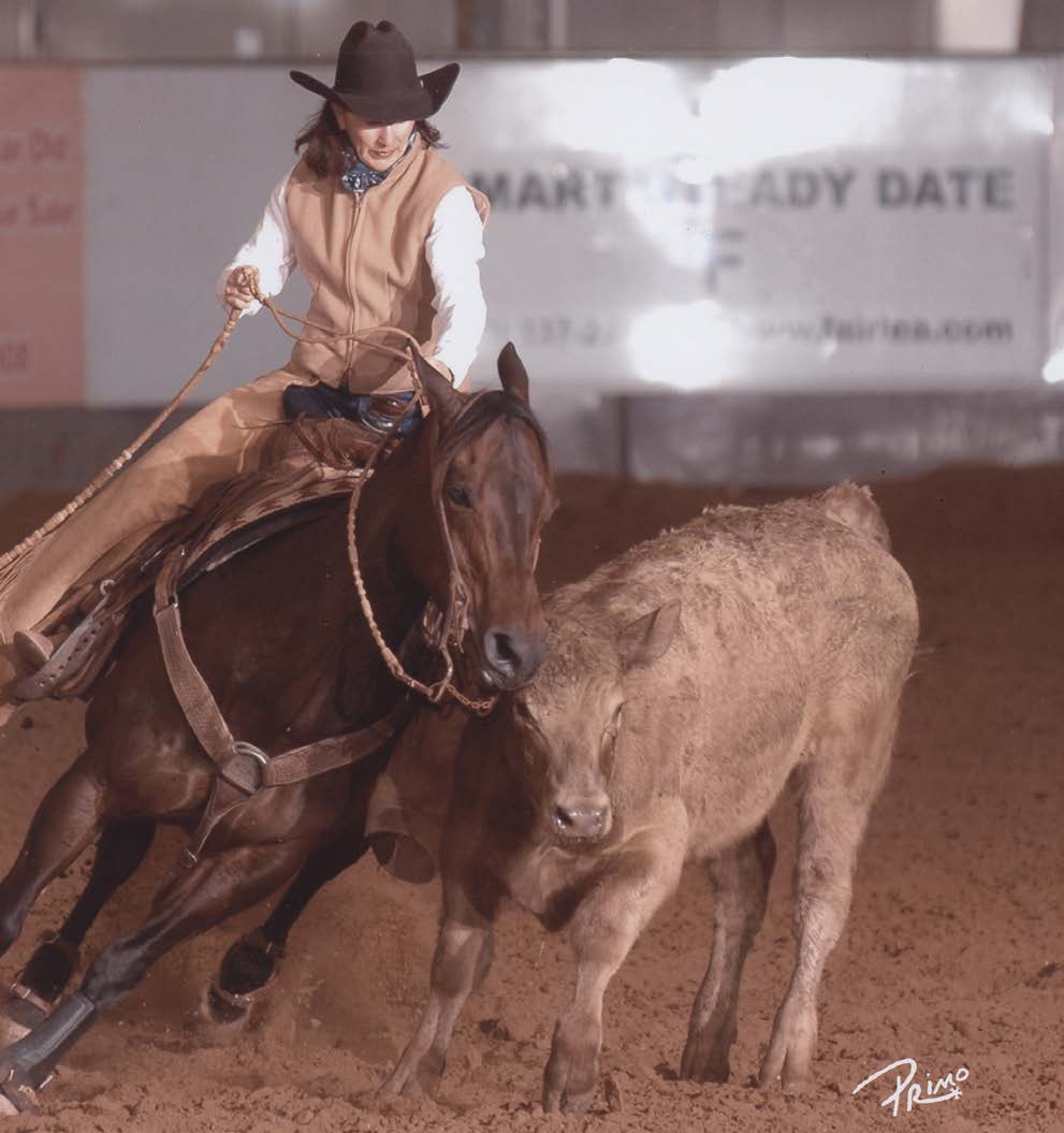 A cowgirl rides a dark brown horse alongside a calf during a ranching or horsemanship event in an indoor arena.