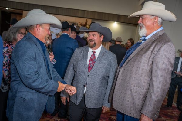LowRes_2026_GoldenSpur_191 LowRes_2026_GoldenSpur_191