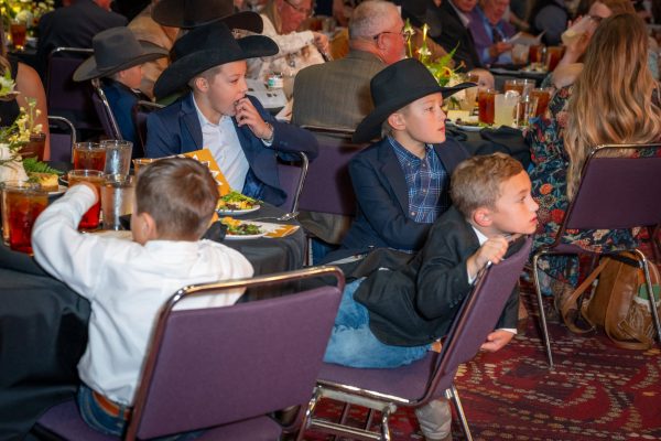 LowRes_2026_GoldenSpur_265 LowRes_2026_GoldenSpur_265