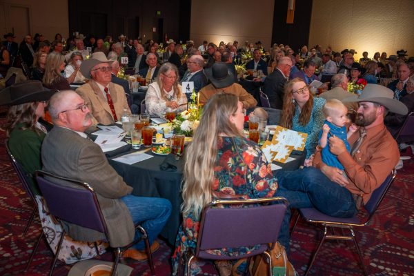 LowRes_2026_GoldenSpur_268 LowRes_2026_GoldenSpur_268