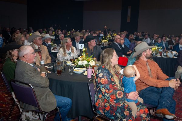 LowRes_2026_GoldenSpur_345 LowRes_2026_GoldenSpur_345