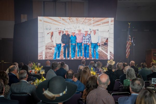 LowRes_2026_GoldenSpur_348 LowRes_2026_GoldenSpur_348