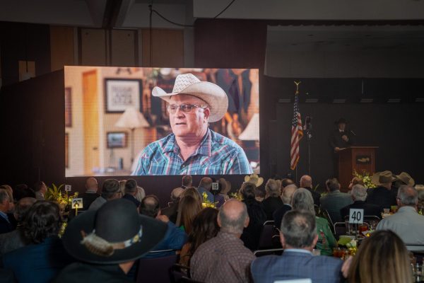 LowRes_2026_GoldenSpur_349 LowRes_2026_GoldenSpur_349