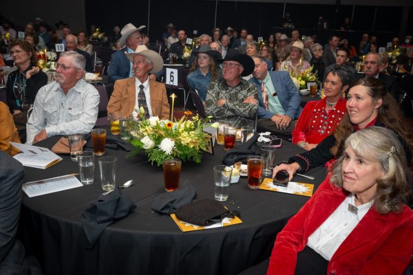 LowRes_2026_GoldenSpur_397 LowRes_2026_GoldenSpur_397