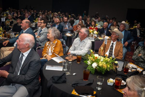 LowRes_2026_GoldenSpur_398 LowRes_2026_GoldenSpur_398