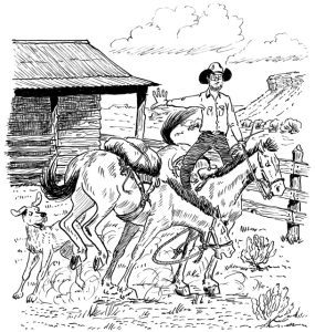 Work Horse vs. Pleasure Horse Image