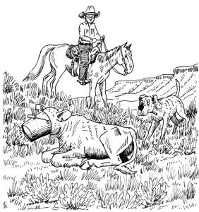 Most Valuable Asset Image