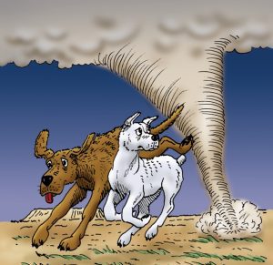 Weather on the Ranch Image