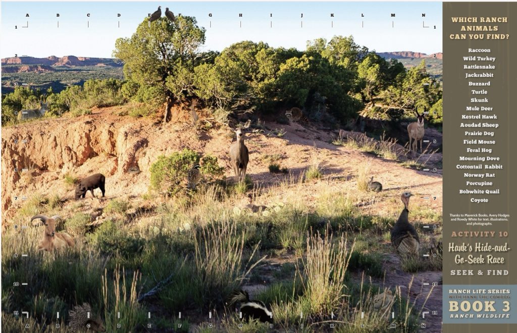 Which Ranch Animals Can You Find game from Ranch Life Learning Series Book 3, Ranch Wildlife.