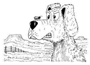 Rank for Hank: Cold-Blooded Critters & Pesky Bugs Image