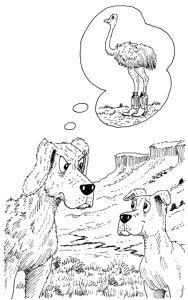 Hank’s Crazy Creature Creation Image